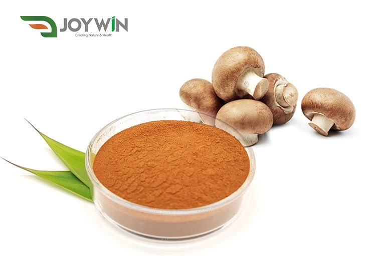 Shiitake Extract Powder Lentinan 30(1)