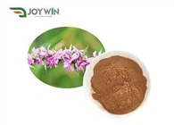Motherwort Herb Extract Powder