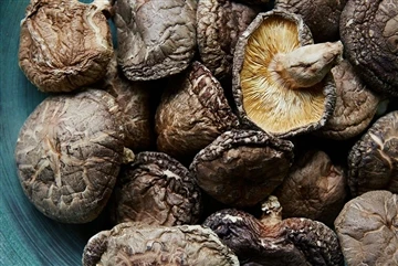 Može li ekstrakt gljive shiitake zamijeniti antibiotike za promociju rasta?